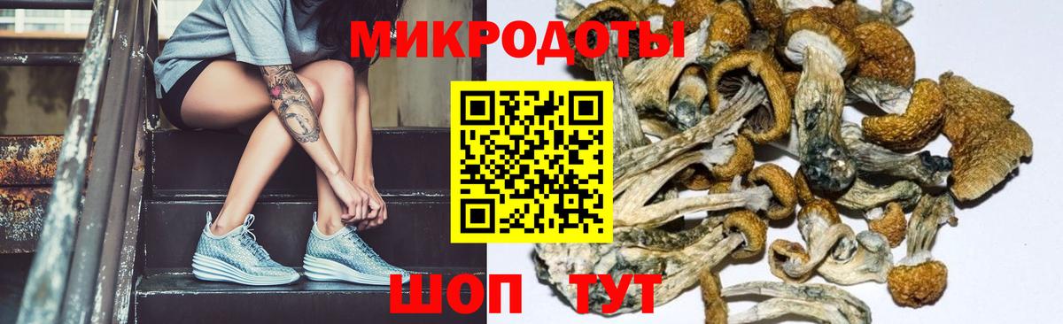 Галлюциногенные грибы Cubensis  Вход с VPN  Старая Купавна 